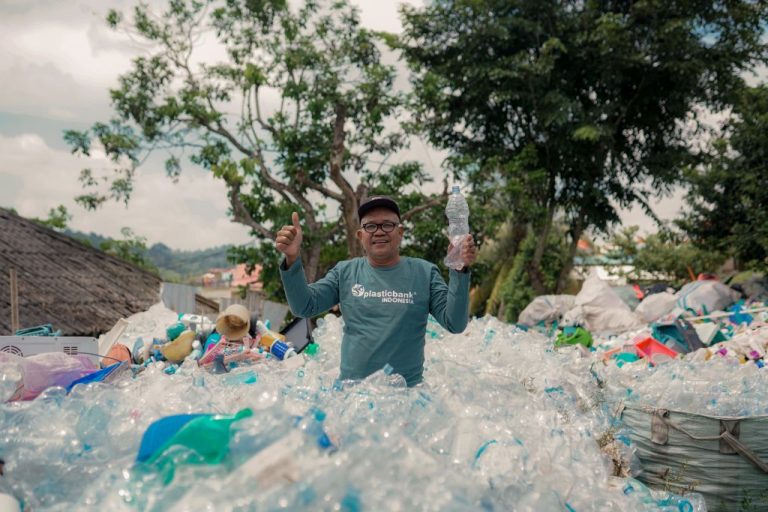 Lamhot Branch Shoot -Batam. 
Copyright and release confirmed.